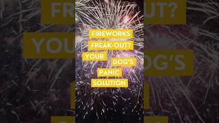 Fireworks FreakOut Your Dogs Panic Solution short DogCare PetAnxiety FireworksSolution [upl. by Rachaba]