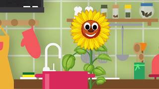 Photosynthesis for kids  how photosynthesis process happens [upl. by Rehsu854]