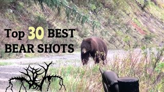 TOP 30 BEST BEAR HUNTING KILL SHOTS [upl. by Neerual344]