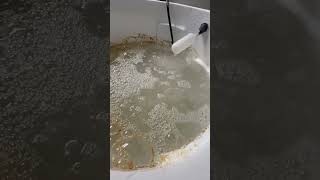 Muriatic Acid Bath Surface cleaning dry rock 1st bath [upl. by Ilysa]