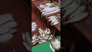 💥Kovalam Fish MarketFresh fish sale fishmarket [upl. by Eerazed]