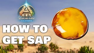 How to Get Sap on Scorched Earth  Ark Survival Ascended [upl. by Nyrem]