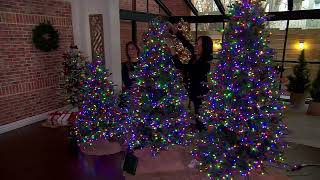 Kringle Express Microbright LED Tree with Storage Bag on QVC [upl. by Anisamot]