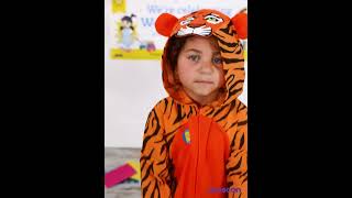 Tiger Onesie Dress Up Costume [upl. by Lauder]