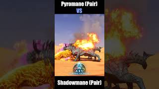 PYROMANE vs SHADOWMANE Tyzaew Short ArkSurvivalAscended [upl. by Milore]