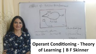 Operant Conditioning  Theory of Learning  B F Skinner [upl. by Hirsch]