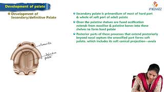 Development of palate  MBBS Lecture [upl. by Merriam]