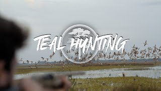 Teal hunting Missouri Teal Hunting Compilation [upl. by Rosol]