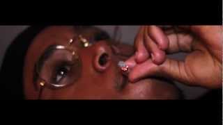 OG SWAGGERDICK  Smokin Roaches ft Michael Christmas OFFICIAL VIDEO [upl. by Akiehsal505]