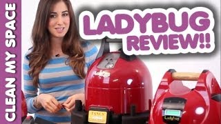 Ladybug Steam Cleaner Review Clean My Space [upl. by Enaira]