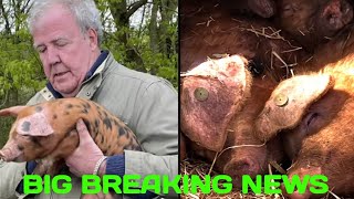 Jeremy ClARKSONS Farm season 2 What new animals are at Diddly Squat Farm [upl. by Mylo]