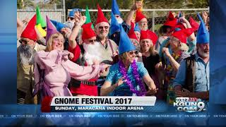 Gnome Fest 2017 to try to break world record [upl. by Henriette472]