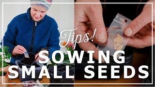 Tips for Sowing Small Seeds – Everything You Need to Know [upl. by Atworth]