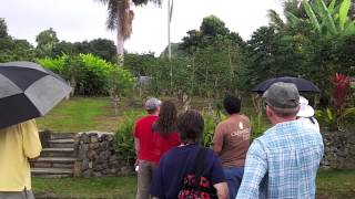 ThruJimsEyes  quotHawaii Greenwell Kona Coffee Farm Tourquot [upl. by Adnole]