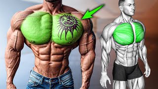 Build a Powerful Chest 5 Best Chest Exercise [upl. by Ebner]