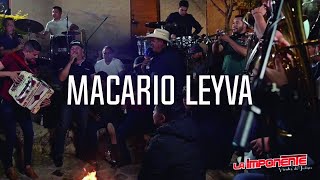 LaImponente  Macario Leyva  Musical En Vivo [upl. by Hcir552]