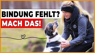 ➡️ 5 Tipps für mehr BINDUNG zum HUND auf dem Spaziergang 🐕 [upl. by Enyrehtak]