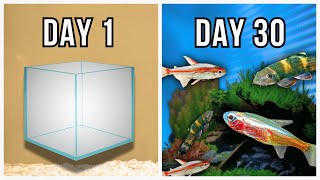 I Created a Nano Aquascape in 30 Days [upl. by Joelly]