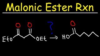 Malonic Ester Synthesis Reaction Mechanism [upl. by Rodl]