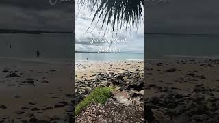 noosa noosaheads beach beautiful summervibes everyone livelifefullest shorts myleentv [upl. by Aiuqes]