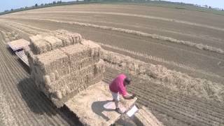 wheat harvest and straw baling 2015 [upl. by Bettye]