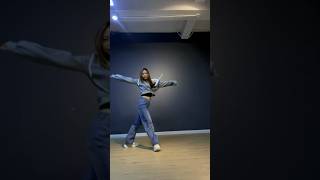 Chris Brown Privacy  Meowmeow Choreography [upl. by Ahsemac248]