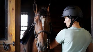 Leasing a Horse Pros and Cons [upl. by Ramed]