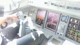 E175 Landing Amazing Pilots Eye View [upl. by Ettari]