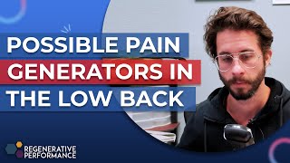 Possible Pain Generators In the Low Back [upl. by Harrington144]