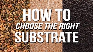 HOW TO Choose an Aquarium Substrate [upl. by Acirret350]