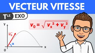 Vecteur vitesse et mouvement parabolique  Terminale spécialité  Physique [upl. by Oilejor686]