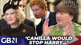 Camilla would make sure Harry doesnt upset Charles  Royal rift rumours over Harrys UK visit [upl. by Zirtaeb]