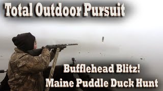 Puddle Duck Hunting Buffleheads in Maine Waterfowl Boat Hunt with Diver Decoys in Penobscot Bay [upl. by Mccartan]