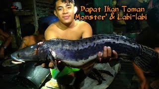 Berburu Ikan Toman amp Labilabi Di Malam Hari [upl. by Nelsen606]