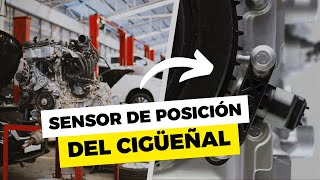 💥 SENSOR CKP  QUÉ ES UBICACIÓN FUNCIONAMIENTO Y FALLAS [upl. by Ulrike]