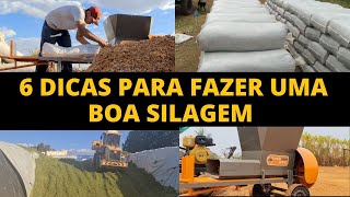 6 DICAS PARA FAZER UMA BOA SILAGEM [upl. by Clemence]