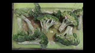 BROCOLI O BRECOL AL HORNO [upl. by Jelsma]