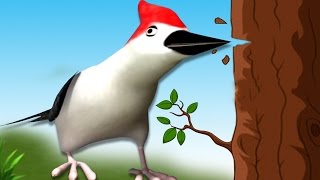 WOODPECKER Rhymes in Tamil Lyrics  மரங்கொத்தி பாடல் Bird Rhymes in Tamil  Rhymes 3D Animation [upl. by Ojyram]