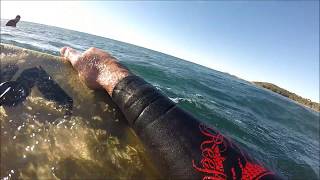 GoPro Shark Scare [upl. by Merissa]