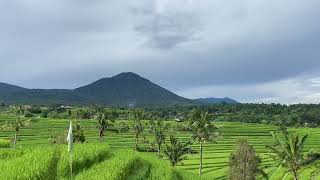 Sawah jatiluwih [upl. by Addiego]