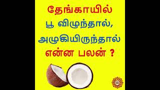 Thengai alugi irunthaal poo vilunthaal enna palan shorts [upl. by Pfeffer]