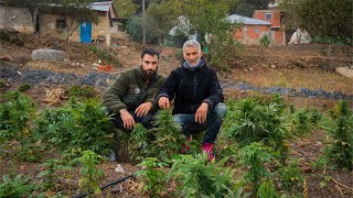 Viví con un PRODUCTOR de HACHÍS en Marruecos [upl. by Jacob]