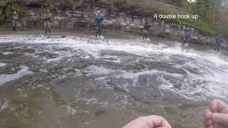 Steelhead Fly Fishing Tips Walnut Creek Erie Pa 11 2 2017 [upl. by Rehprotsirhc733]