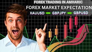 MARKET BREAKDOWN IN AMHARIC  OCT 13 2024 ethiopia trading forextradinginethiopia ebs forex [upl. by Yankee112]