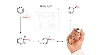 Nitration of benzene [upl. by Grethel]