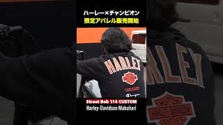 ハーレー×チャンピオン超限定アパレル販売中‼️ harleydavidsonchampionstreetbob [upl. by Artaed289]