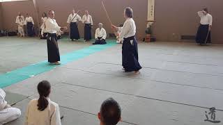 Traditional Aikido Europe  CHANGE YOUR FEELING OF CONTACT  Lewis Bernaldo de Quiros [upl. by Yadnus]