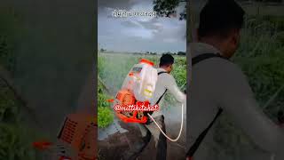 Tomato farming in india tomator tamater farming agriculture IndianFarmer MrBeast [upl. by Redlac]