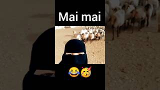 Inta hayati🤪😎 Mai mee goat trancegoat anta hayatiinta hayati song by a muslim girlaudiR8shorts [upl. by Adnic401]