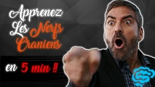 🔴 NE CONFONDEZ PLUS LES NERFS CRANIENS  part2  DR ASTUCE [upl. by Ryon329]